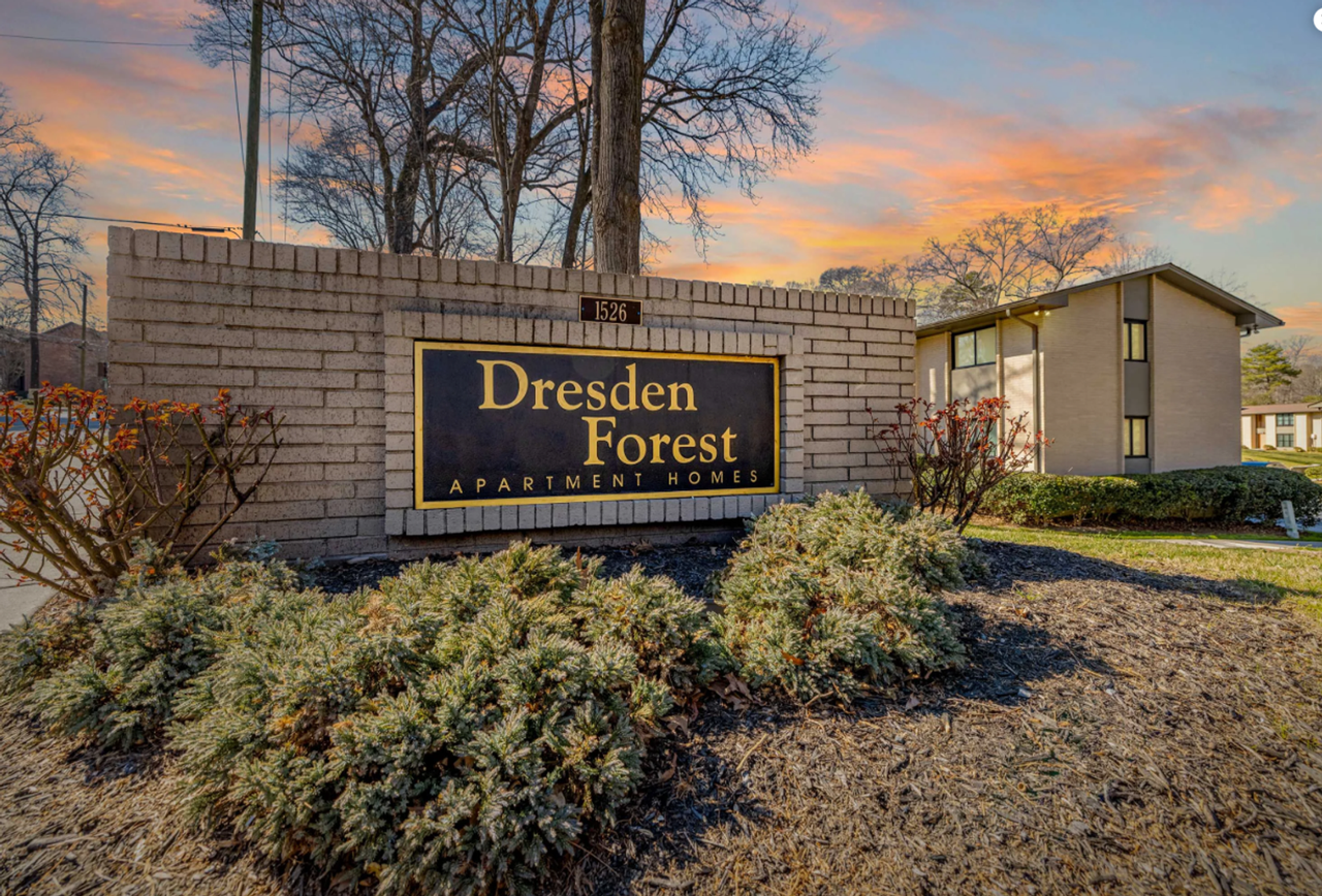 Dresden Forest | Close to Everything. Surrounded by Serenity. - Photo 3 of 37