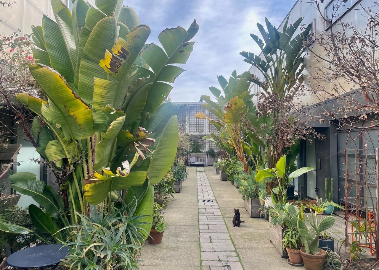 6056 Adeline Street - Photo 2 of 21