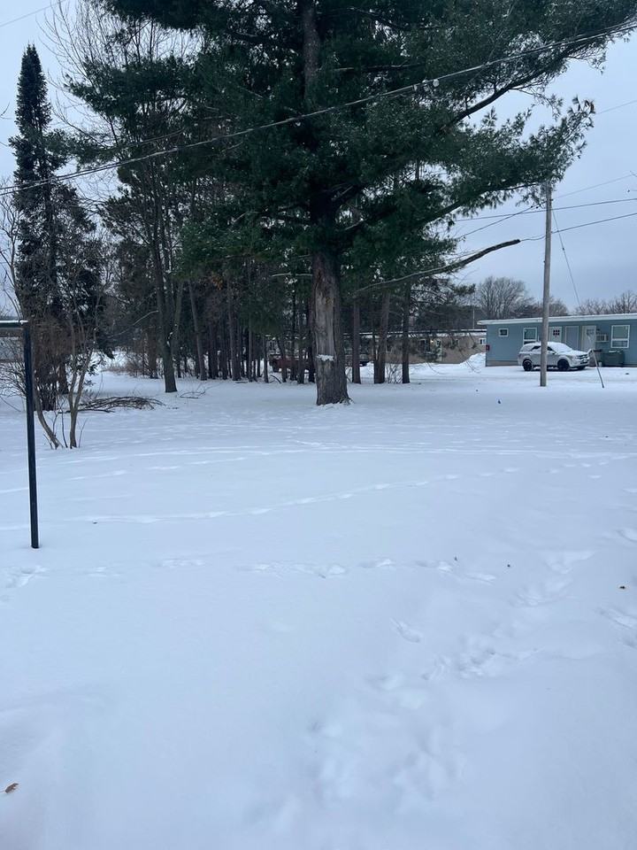 715 Flieth Street - Photo 5 of 25