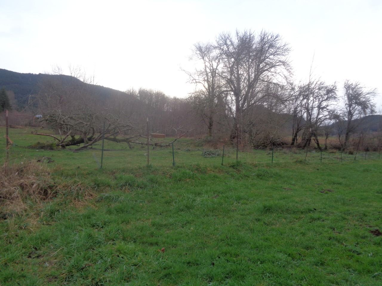 224 Priest Road - Photo 3 of 16