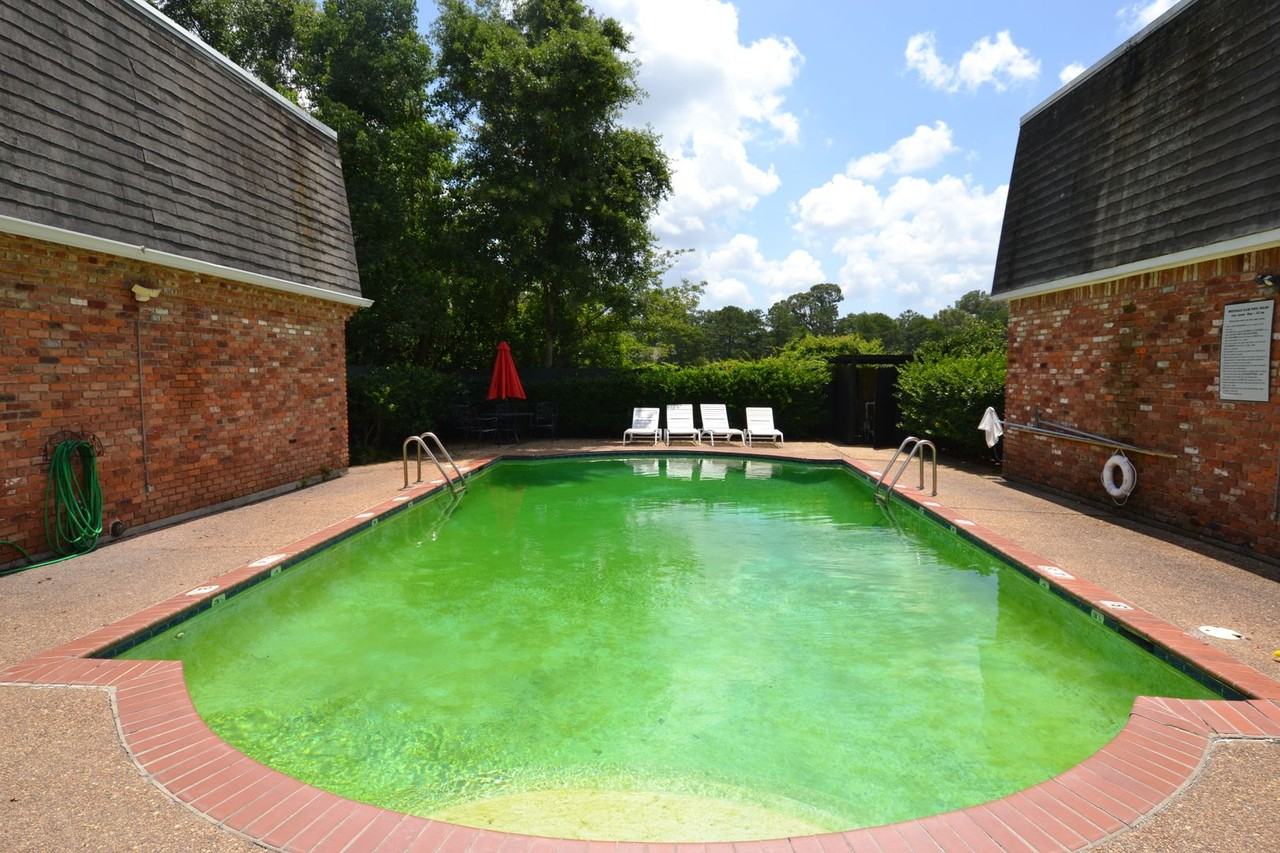 1755 College Drive #229 - Photo 5 of 30