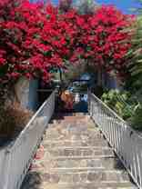 3927 & 3951 MELROSE AVE - Photo 1 of 1