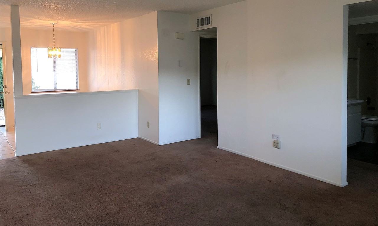 4036 Shadow Crest Drive - Photo 4 of 17