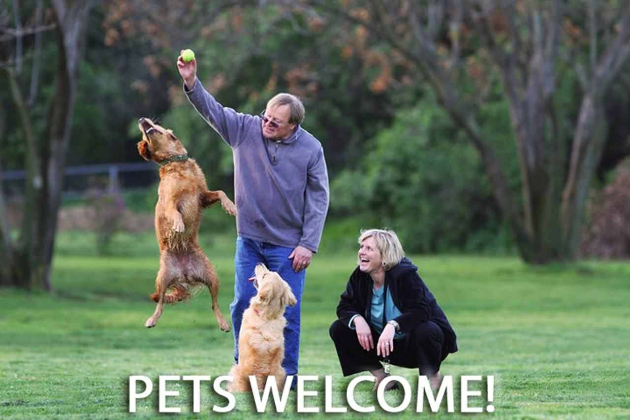 319 S Maple Ave - Photo 5 of 6