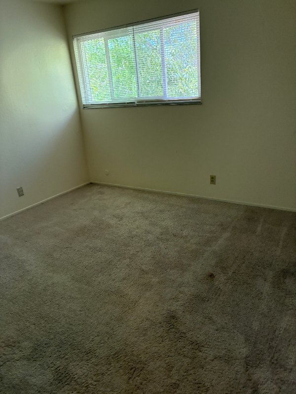 40470 Grimmer Boulevard - Photo 7 of 7