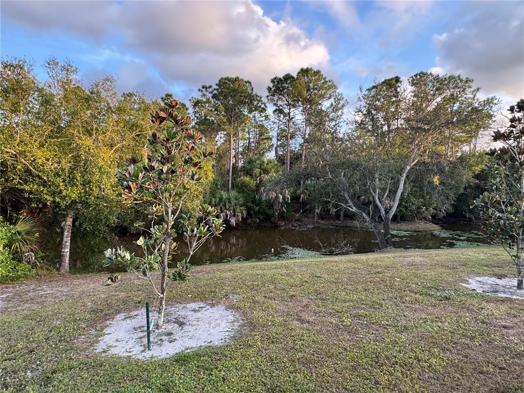 2750 Carolina Street #2750 - Photo 6 of 23