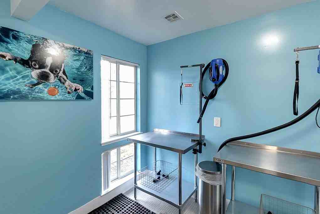 Bel Air - Photo 6 of 50