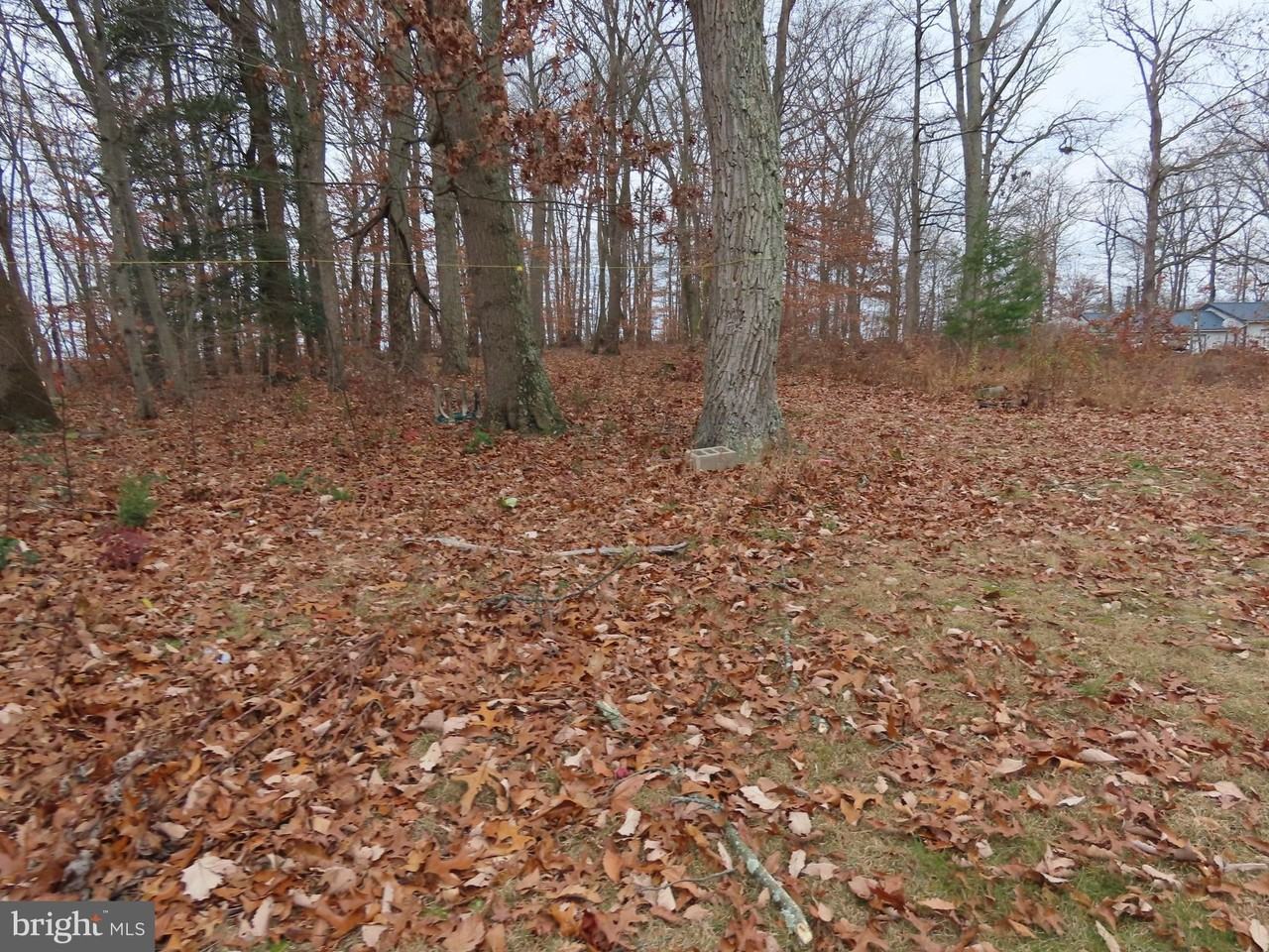 563 Principio Road - Photo 3 of 16