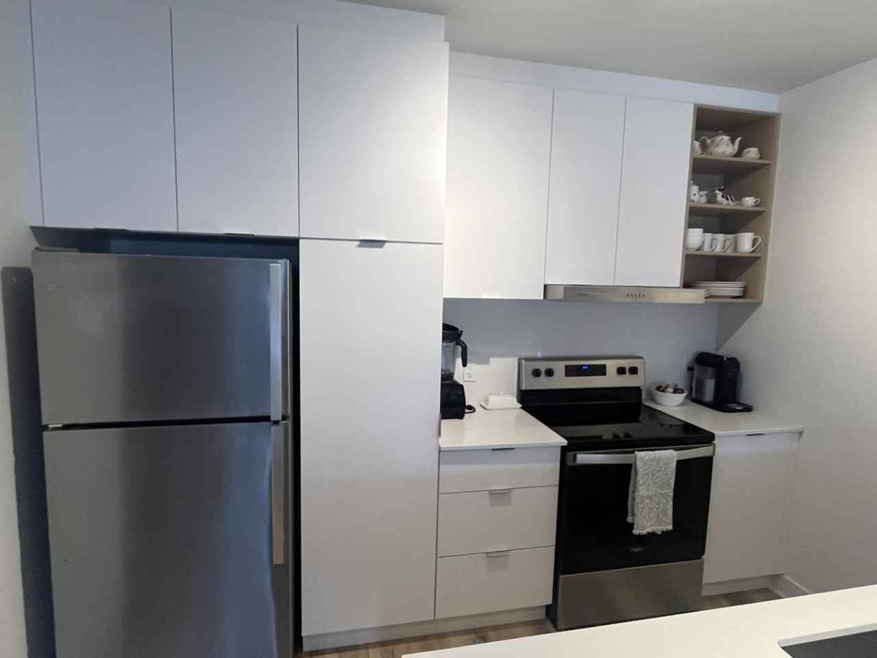 2121 Av Papineau - Photo 3 of 11