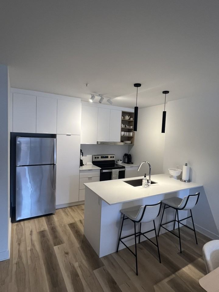 2121 Av Papineau - Photo 2 of 11