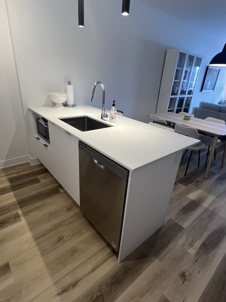 2121 Av Papineau - Photo 4 of 11