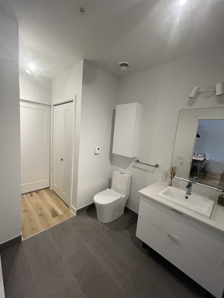 2121 Av Papineau - Photo 6 of 11