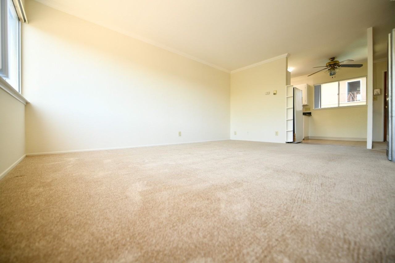 268 Vernon St. - Photo 7 of 27