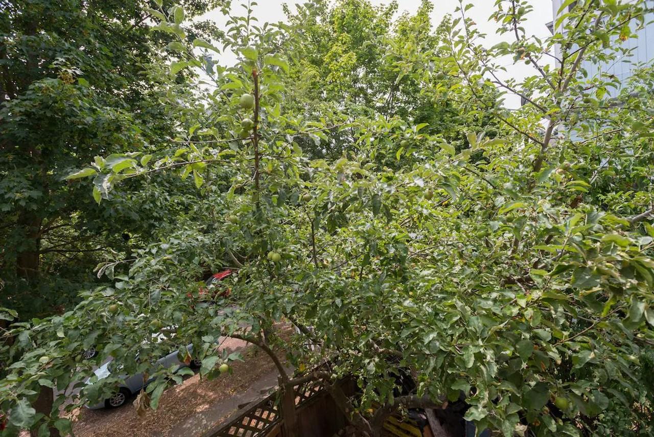 900 21st Ave #1273354P - Photo 7 of 24