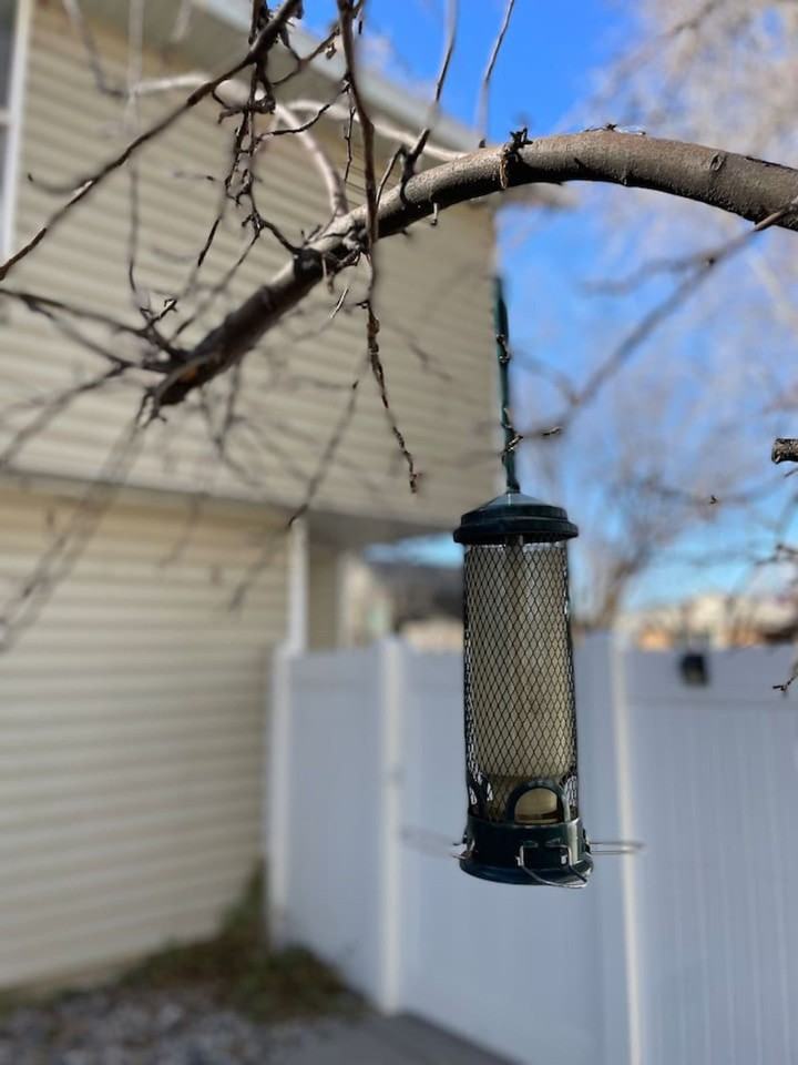 924 E Lowell Ave #1249884P - Photo 4 of 35