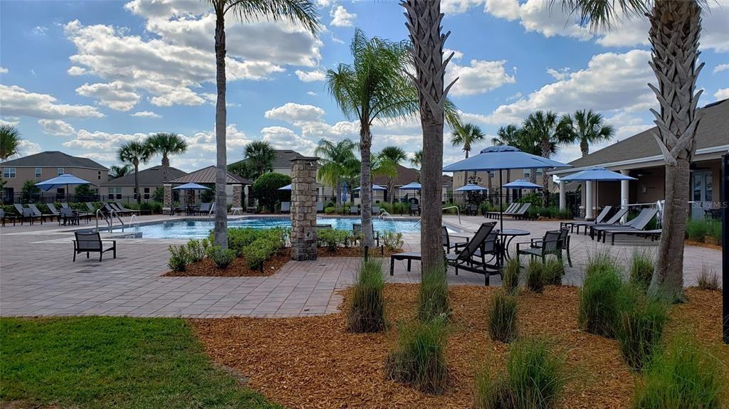 1139 Honey Blossom Drive #1139 - Photo 6 of 19