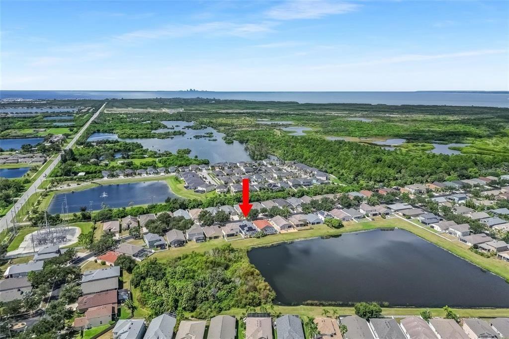 5124 Clover Mist Drive #5124 - Photo 5 of 50