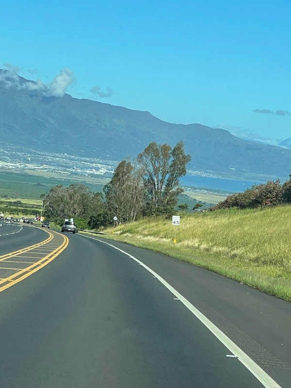 1054 Makawao Avenue - Photo 4 of 5