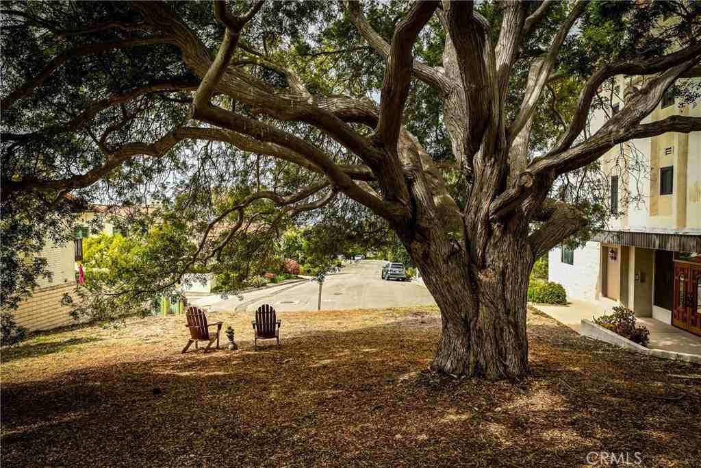 2357 Palos Verdes Drive West #2357-3 - Photo 5 of 50