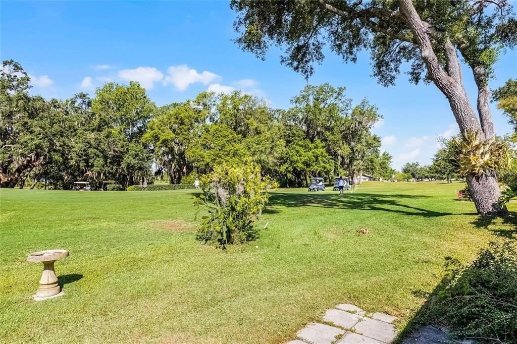 32537 Oak Park Drive #32537 - Photo 6 of 6