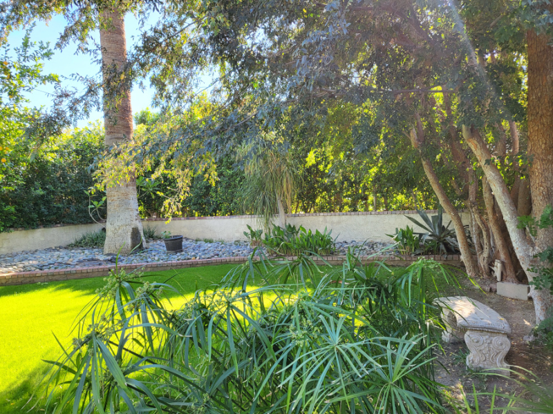 32771 Whispering Palms Trail - Photo 2 of 26