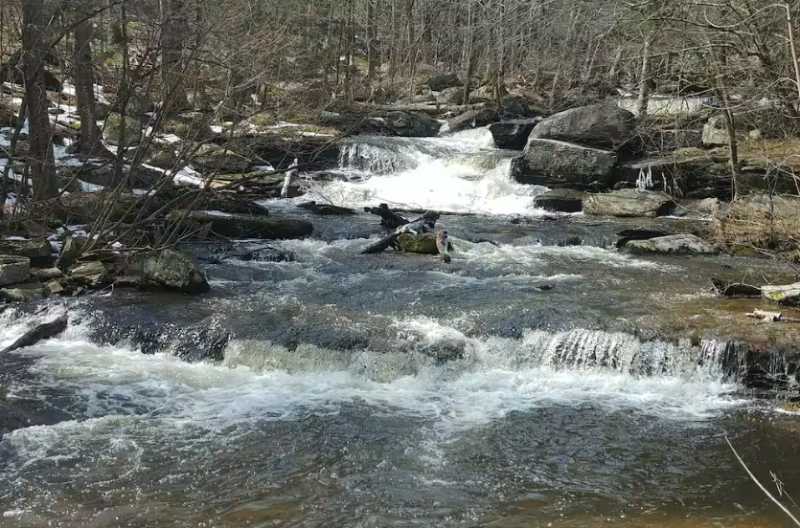 60 Ruth Way Road #1 - Photo 5 of 7