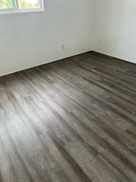 855 Buena Vista Street #4 - Photo 2 of 6