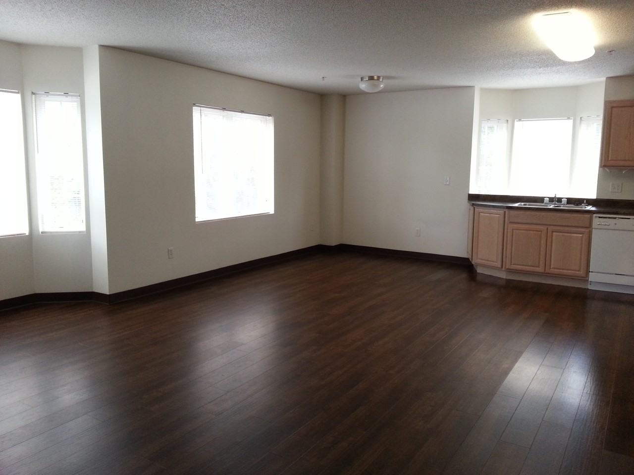 943 South Gilbert Street #21