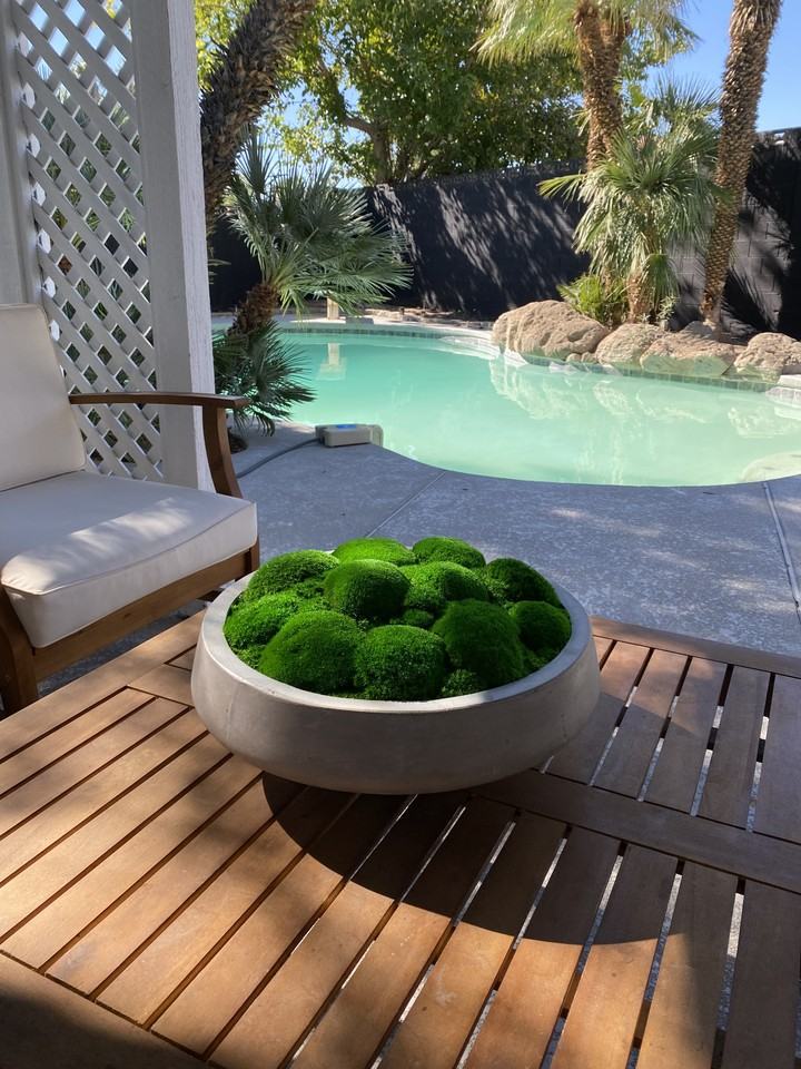 6521 Celeste Avenue - Photo 6 of 13