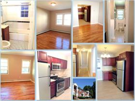 Newly Renovated Apartment, Stainless Steel Appliances, Parking Spot - Photo 1 of 1