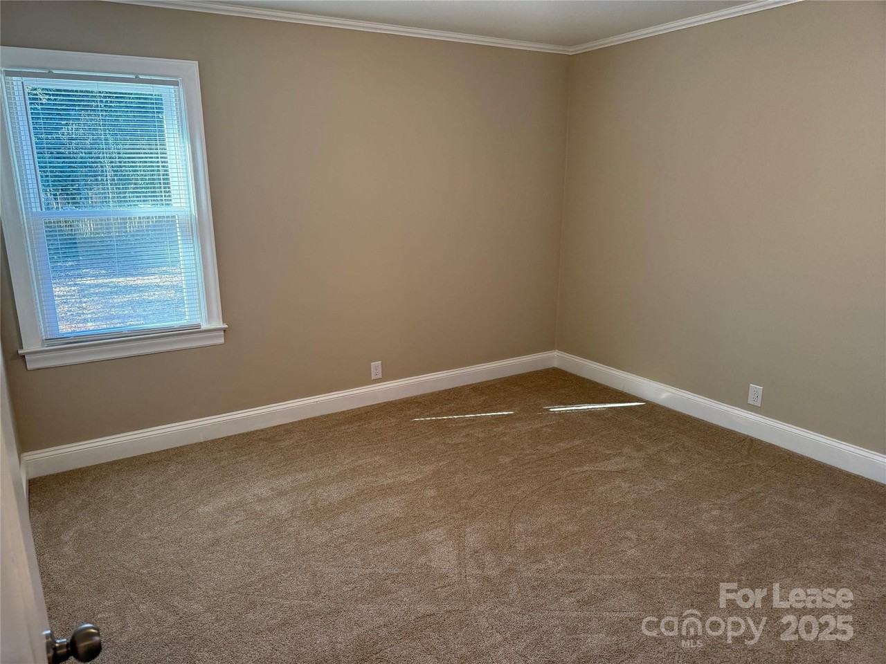 213 Magnolia Street - Photo 6 of 12