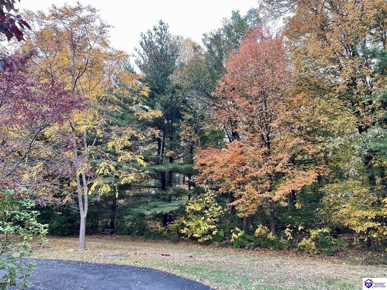 913 Dogwood Circle - Photo 3 of 29