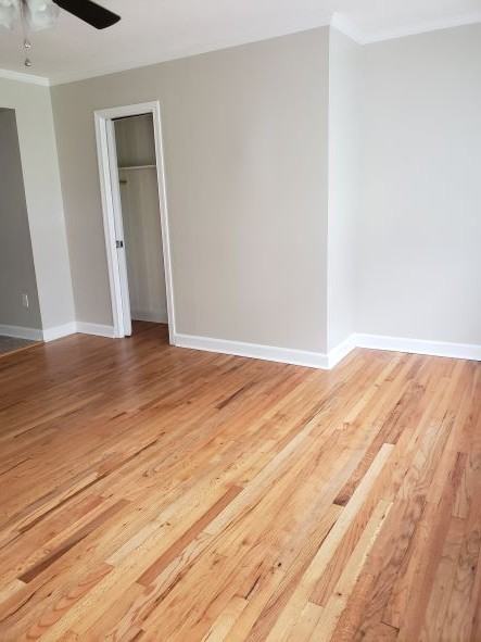 1207 Oak Street #1207 - Photo 2 of 12