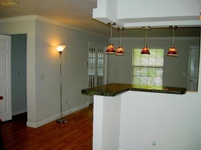 5644 Nature Lane - Photo 4 of 11