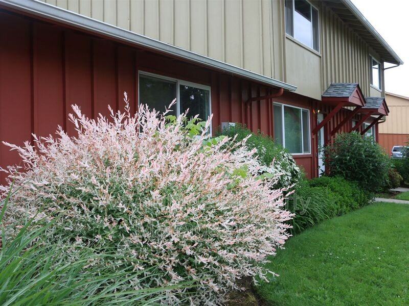 1250 Northwest 23rd Street #14 - Photo 5 of 25