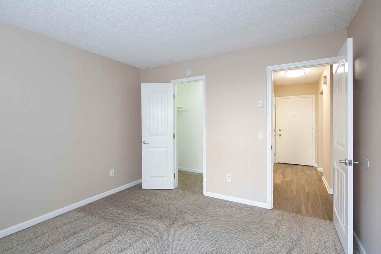 Volterra Apartments - Photo 7 of 28