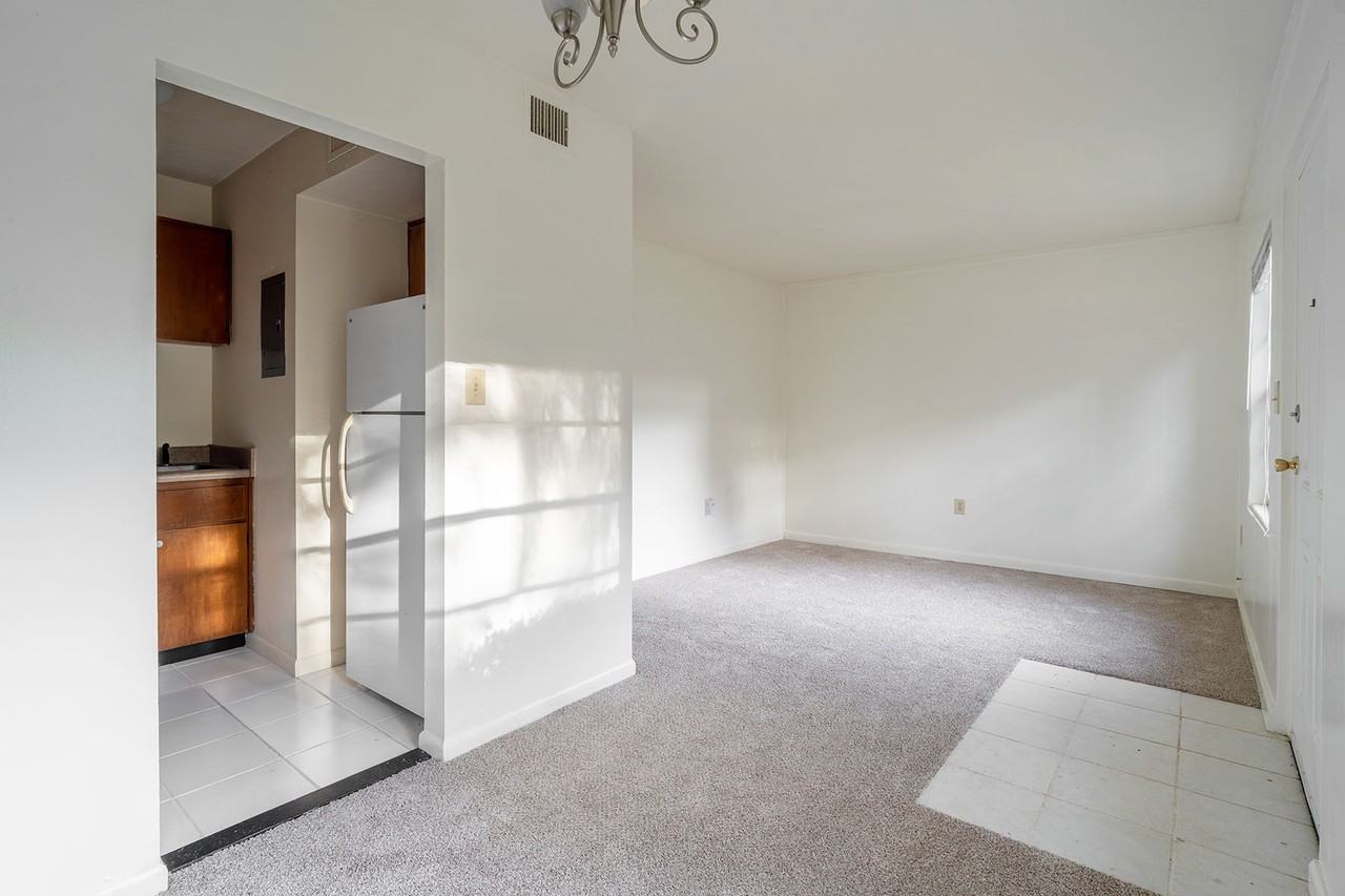 236 DeSoto Drive - Photo 4 of 12