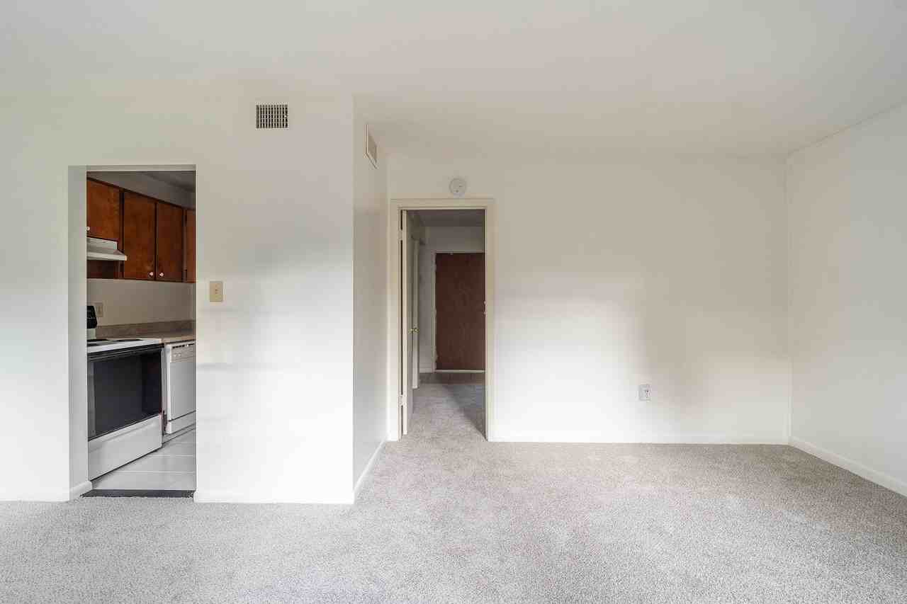 236 DeSoto Drive - Photo 6 of 12