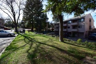 Pacific Heights Condominiums - Photo 1 of 1