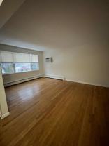 Dobson - Photo 1 of 1