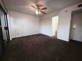 2531 Olive Street - Photo 1 of 1