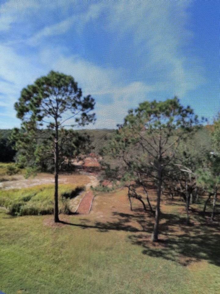 8910 Legacy Court #16-308 - Photo 6 of 36