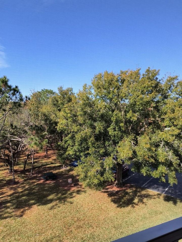 8910 Legacy Court #16-308 - Photo 7 of 36