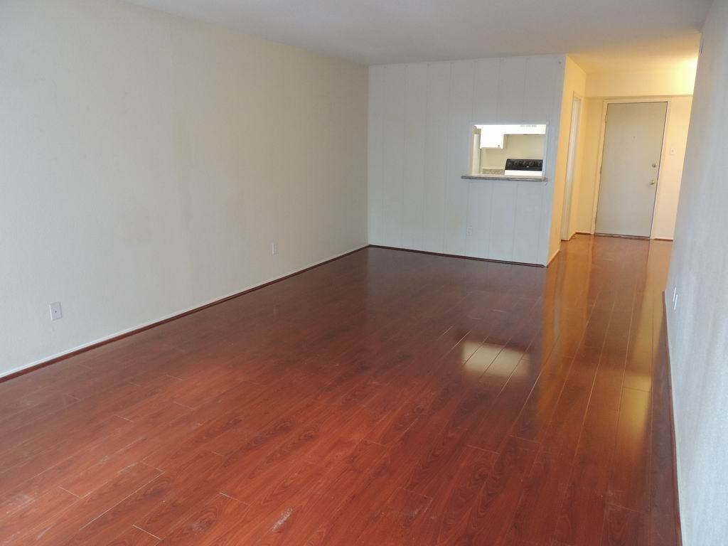 4641 Wild Indigo #445 - Photo 5 of 13