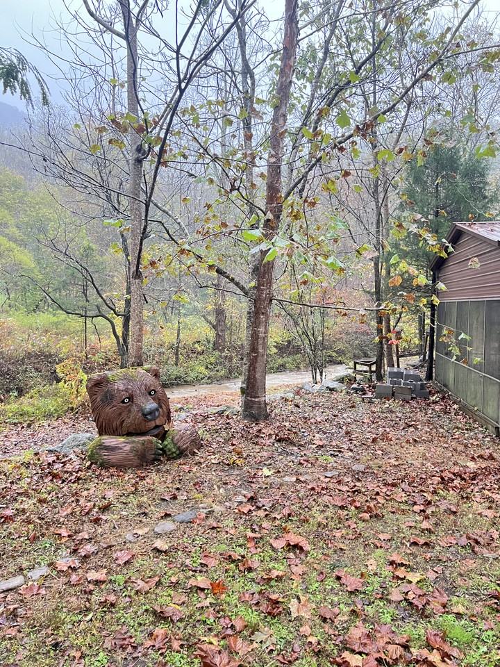 2634 Cedar Creek Road #NA - Photo 4 of 23