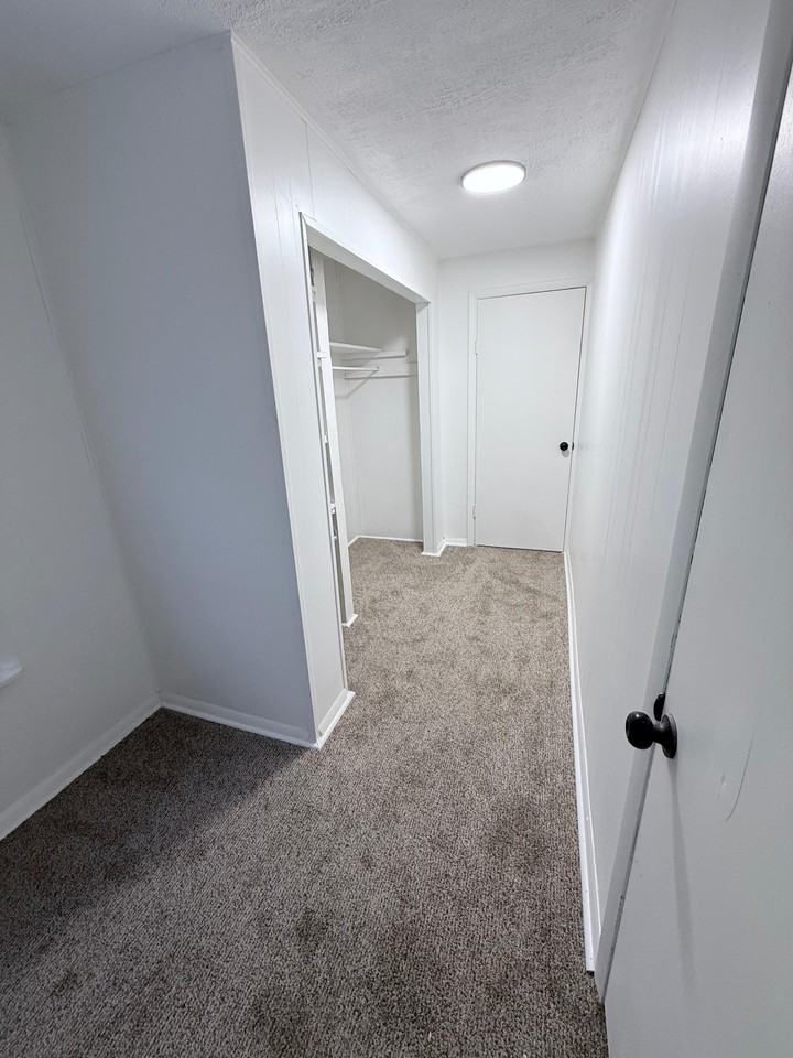 537 Mccully Street #1 - Photo 6 of 15