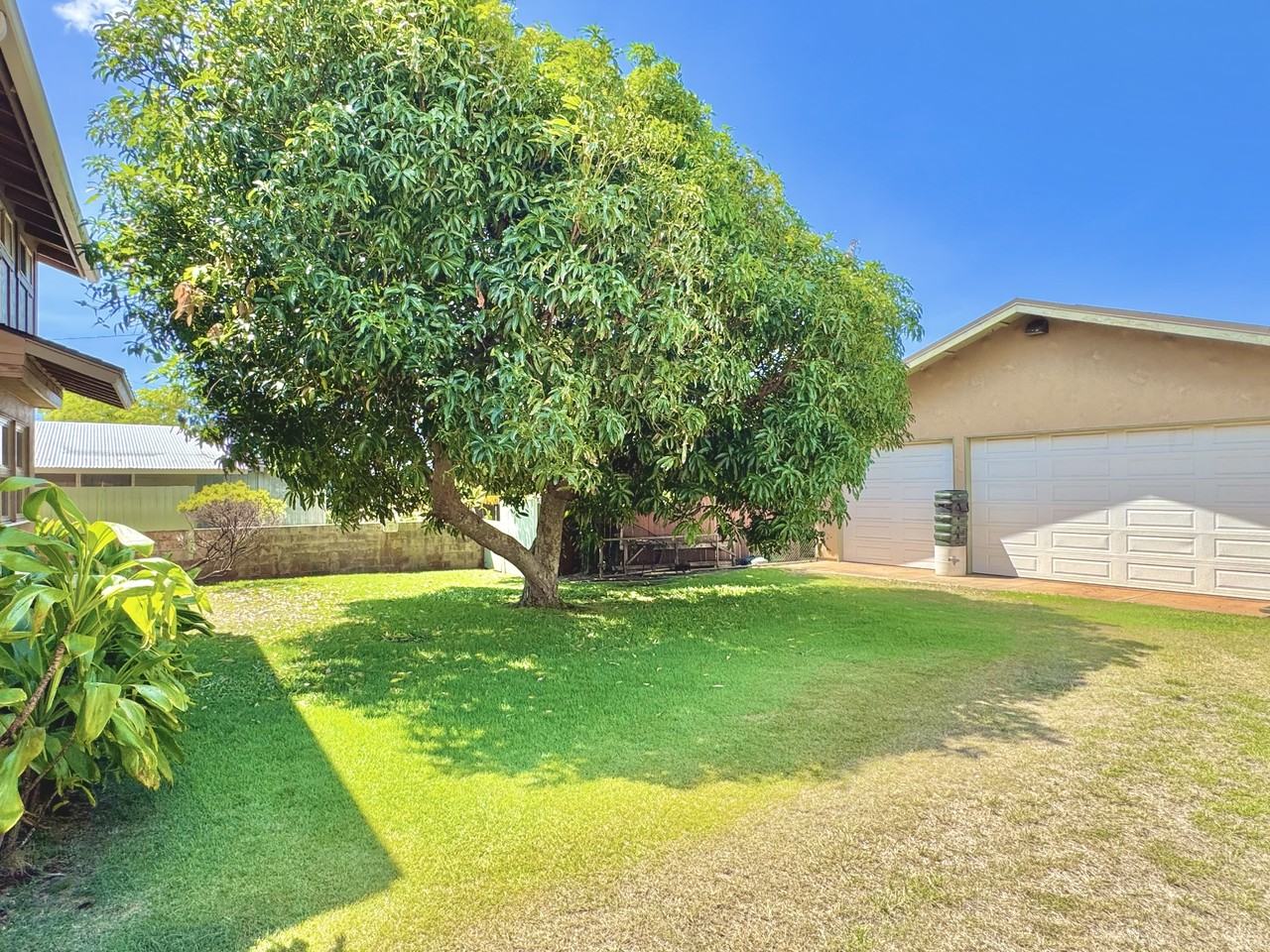 12 Kaimao St #1 - Photo 2 of 17