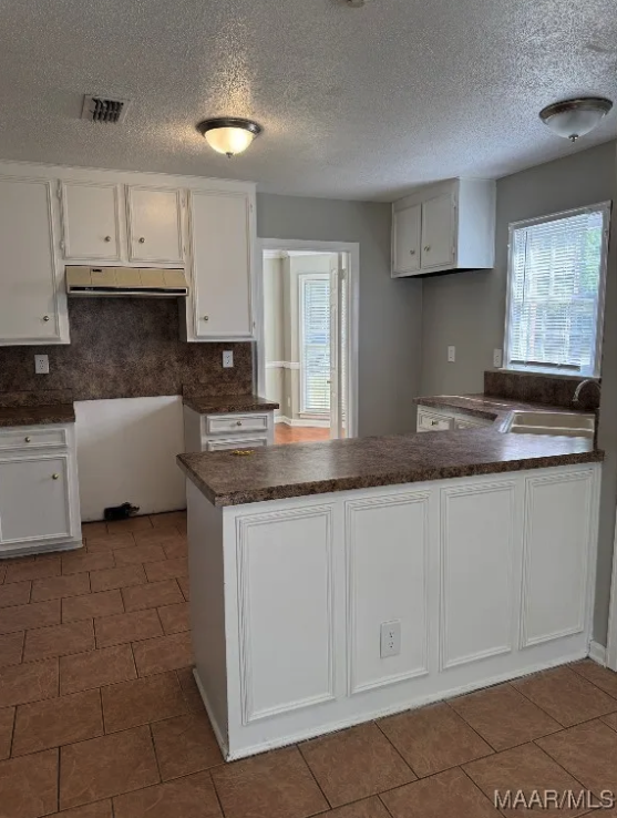 3616 Oak Shadow Lane #1 - Photo 3 of 10