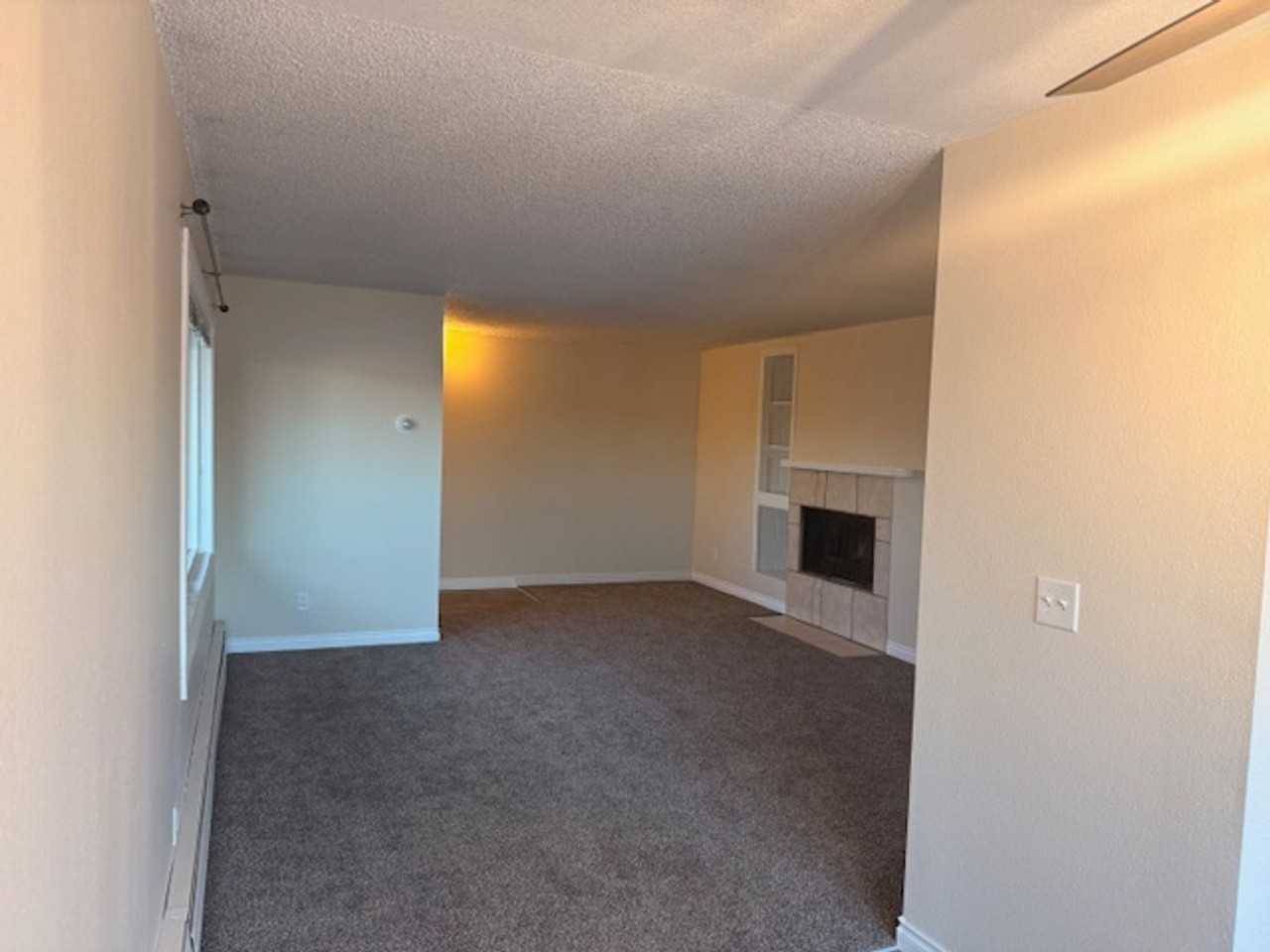 8307 Jewel Lake Road #C - Photo 3 of 21