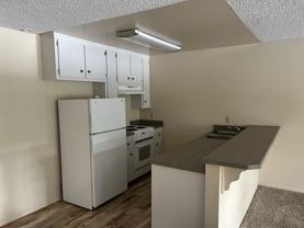 Rare Complex located conveniently behind Round Hill Square in walking distance to the Lake. - Photo 1 of 1